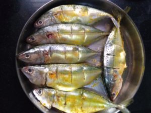 tawa fish fry -slit-fishes