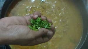 Tiffin sambar -coriander