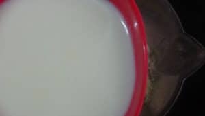 Avocado smoothie - milk