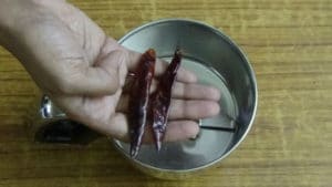 Masala vadai -red chillies