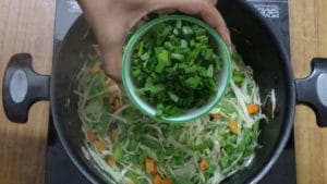 Veg noodles -green onion