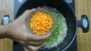 Schezwan chicken fried rice -carrot