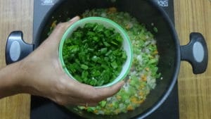 Schezwan chicken fried rice -green onion