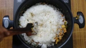 Schezwan chicken fried rice -mix