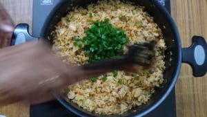 Schezwan chicken fried rice -green onions