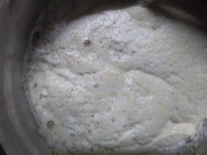 Idli with idli rava -fermented