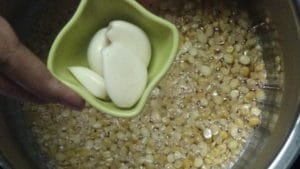Paruppu thogayal -garlic