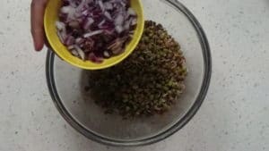 Sprouts salad -onion