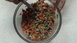 Sprouts salad -mix well
