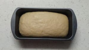 Whole wheat bread -raised