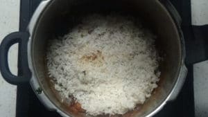 Empty biryani-layer rice