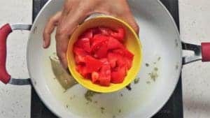 saute tomato